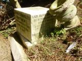 image of grave number 633672